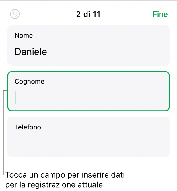 Una registrazione in un modulo che mostra un campo attivo con un punto di inserimento.
