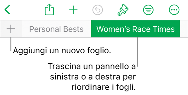Barra dei pannelli per aggiungere un nuovo foglio, navigare, riordinare e riorganizzare i fogli.