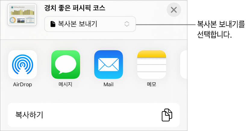 상단에 복사본 보내기가 선택되어 있는 공유 메뉴.