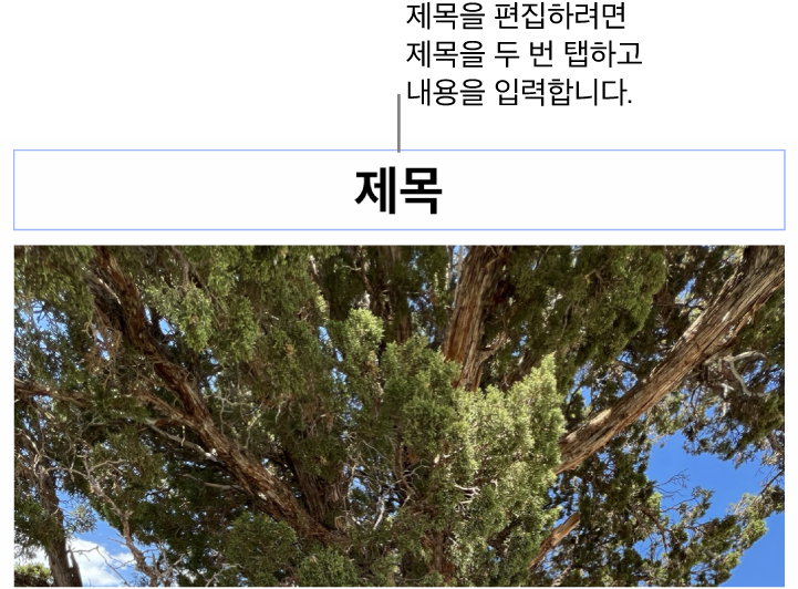 사진 아래에 ‘제목’이라고 나타나는 위치 지정자 제목. 제목 필드 주위의 파란색 윤곽선은 선택되었음을 나타냄.