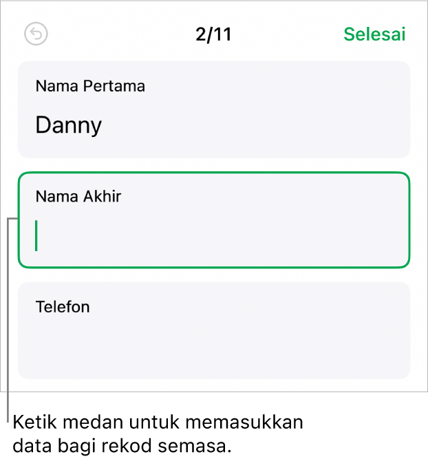 Rekod dalam borang menunjukkan medan aktif dengan titik sisipan.