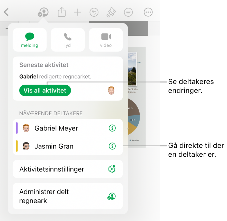 Samarbeidsmenyen, som viser gjeldende deltakere.