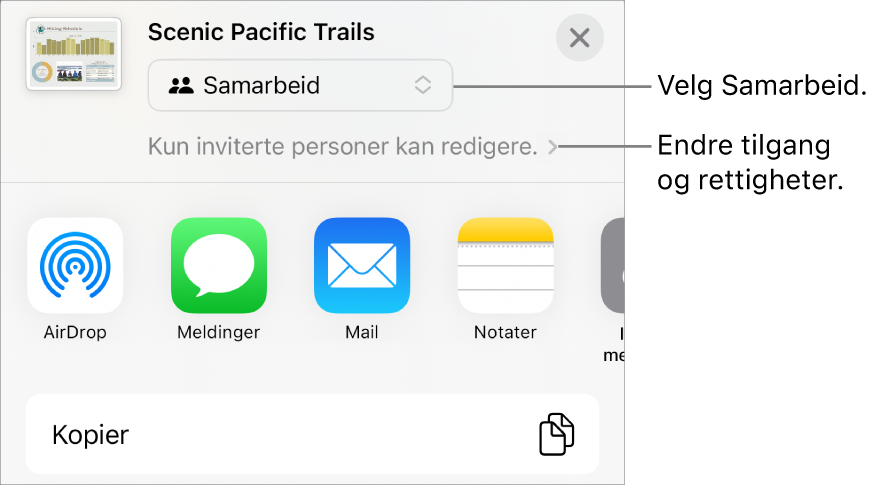 Del-menyen med Samarbeid markert øverst, og tilgangs- og tillatelsesinnstillingene under.