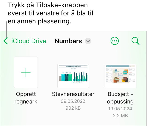 Dokumenthåndterer for iPhone.