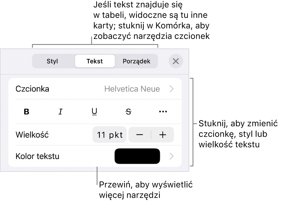 Narzędzia tekstów w menu Format służą do ustawiania stylów akapitu i znaków oraz czcionek ich wielkości i koloru.