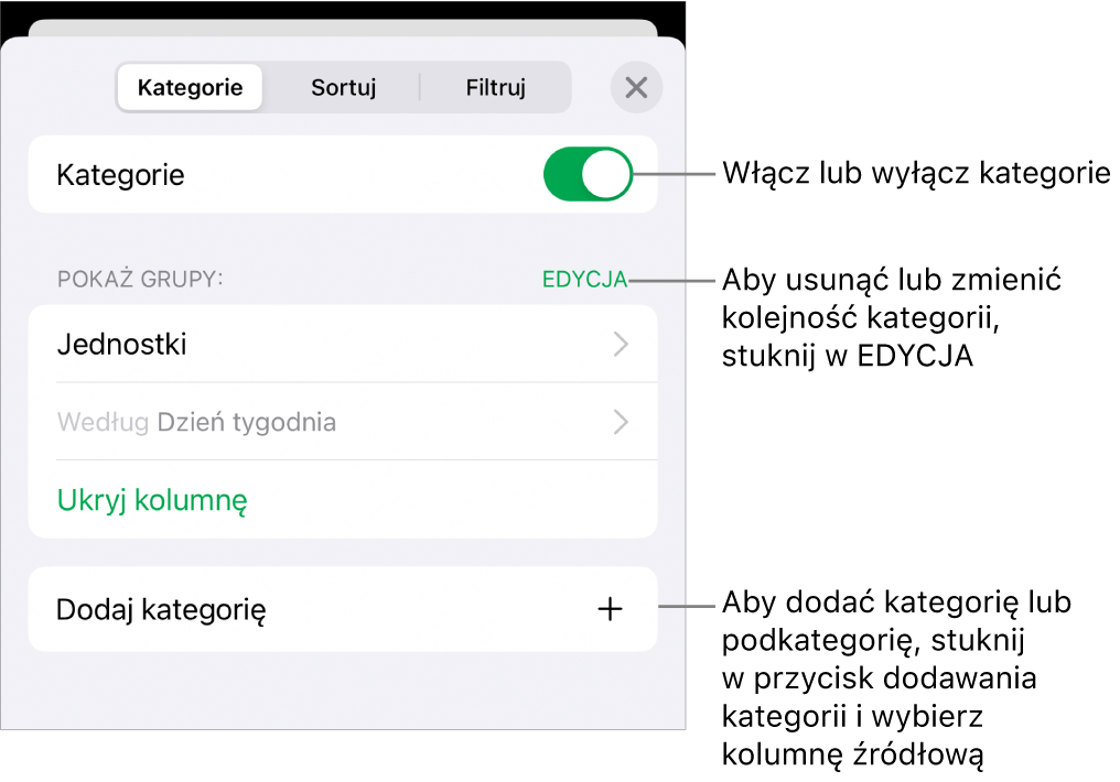 Menu Kategorii dla iPhonie z opcjami wyłączania lub usuwania kategorii, przegrupowywania danych, ukrywania kolumny źródłowej oraz dodawania kategorii.