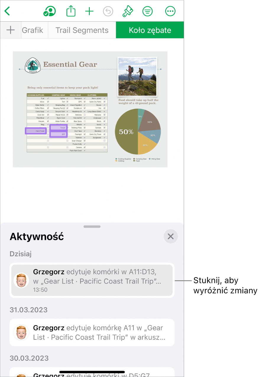 Opracowywany wspólnie arkusz z otwartym menu współpracy i listą aktywności.