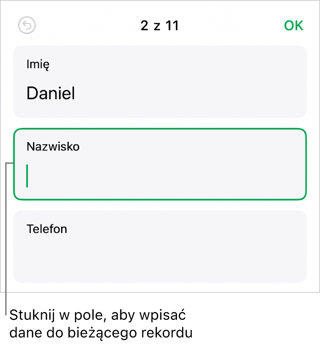 Rekord formularza pokazujący aktywne pole z punktem wstawiania.