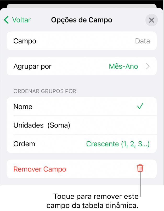 O menu Opções de Campo, mostrando os controles para agrupar e classificar dados, assim como a opção de remover um campo.