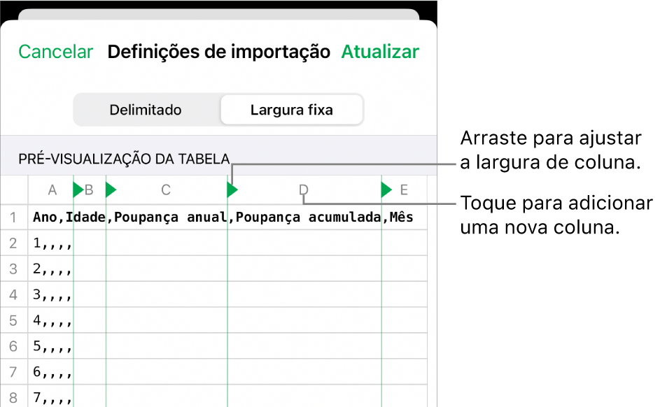 As definições de importação para um ficheiro de texto de largura fixa.