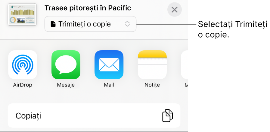 Meniul Partajează, cu opțiunea Trimite o copie selectată în partea de sus.