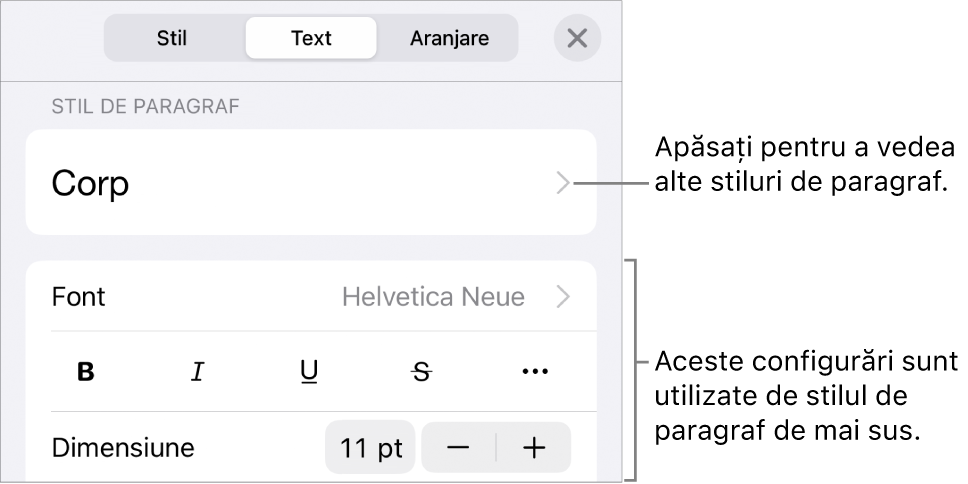 Meniul Format afișând comenzi de text pentru configurarea stilurilor, fonturilor, dimensiunii și culorii paragrafelor și caracterelor.