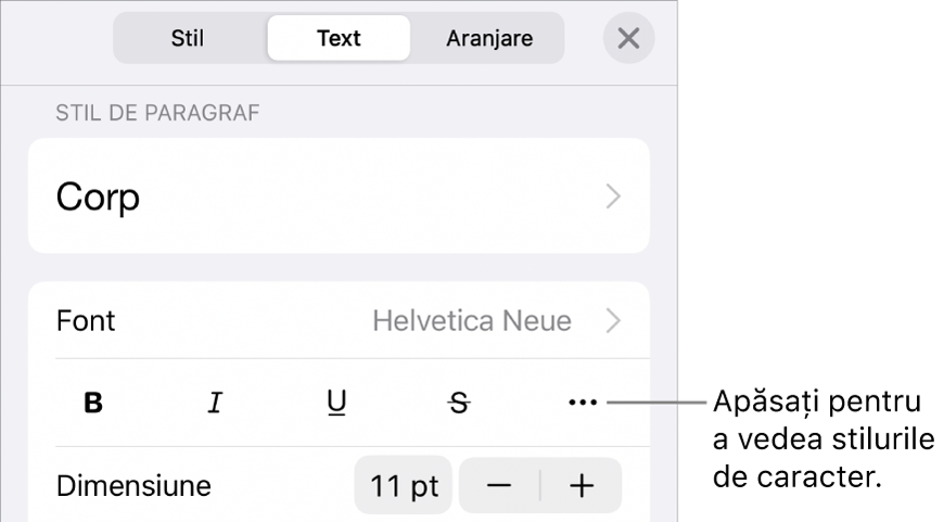 Comenzile Format cu stilurile de paragraf în partea de sus, apoi comenzile Font. Sub Font se află butoanele Aldin, Cursiv, Subliniat, Tăiat cu o linie și Alte opțiuni de text.