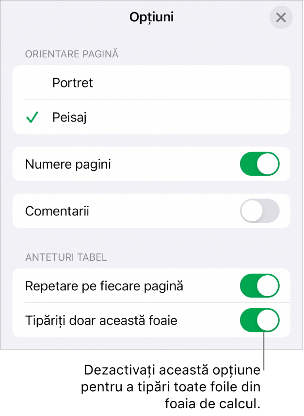 Opțiunile de tipărire pentru alegerea orientării paginii, afișarea numerelor paginilor și anteturilor și pentru alegerea dimensiunii hârtiei și a paginilor care vor fi tipărite.