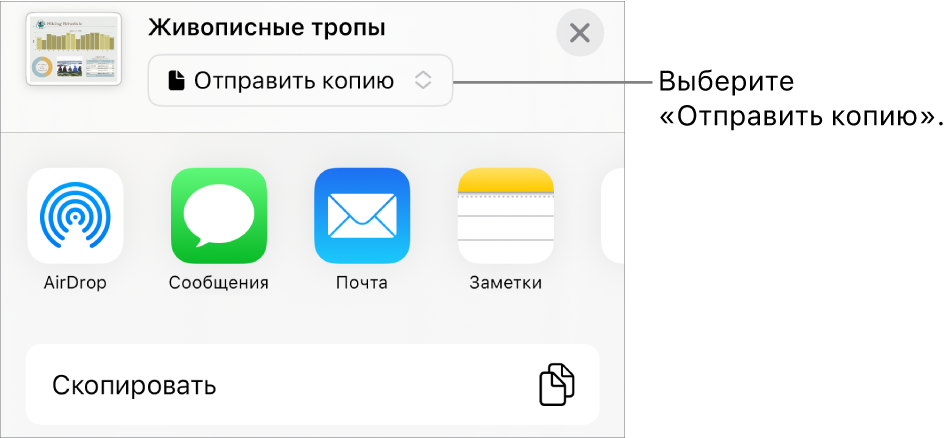 В верхней части меню «Поделиться» выбран параметр «Отправить копию».