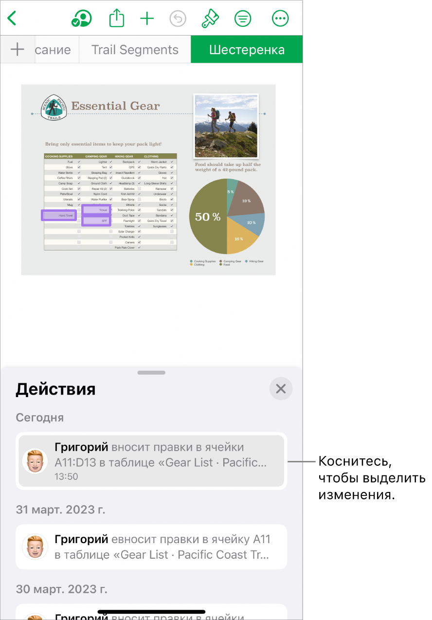 В общей таблице открыты меню совместной работы и лента активности.