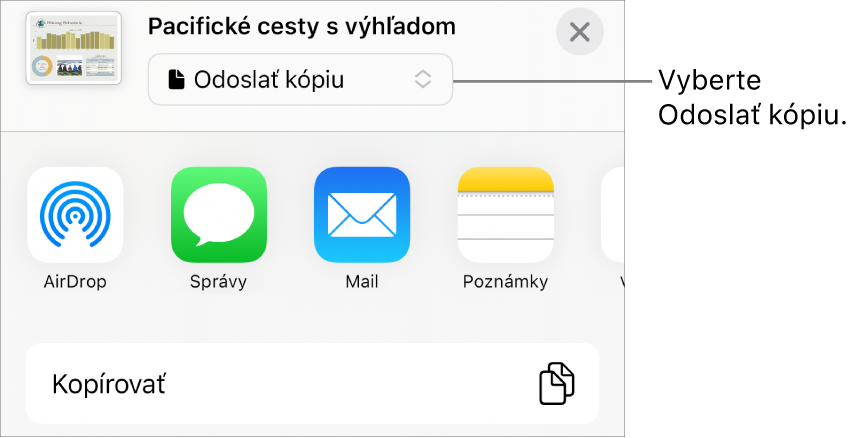 Menu Zdieľať s vybranou možnosťou Odoslať kópiu vo vrchnej časti.