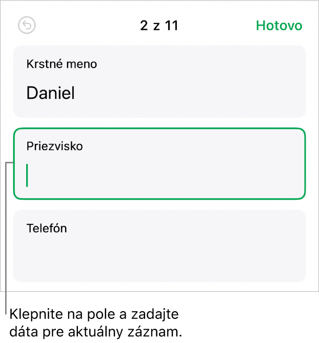 Záznam vo formulári zobrazujúci aktívne pole s kurzorom.