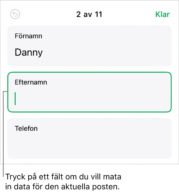 En post i ett formulär som visar ett aktivt fält med en insättningspunkt.