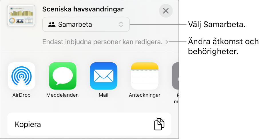 Delningsmenyn med Samarbeta markerat högst upp och tillgångs- och behörighetsinställningar under.