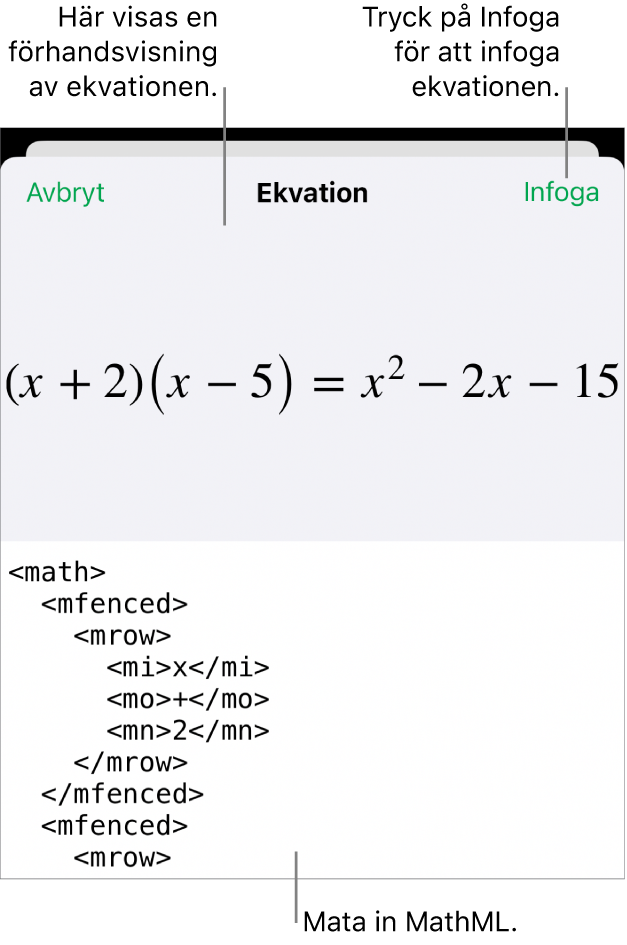 Dialogrutan Ekvation visar en ekvation som skrivits med MathML-kommandon och en förhandsvisning av formeln ovanför den.