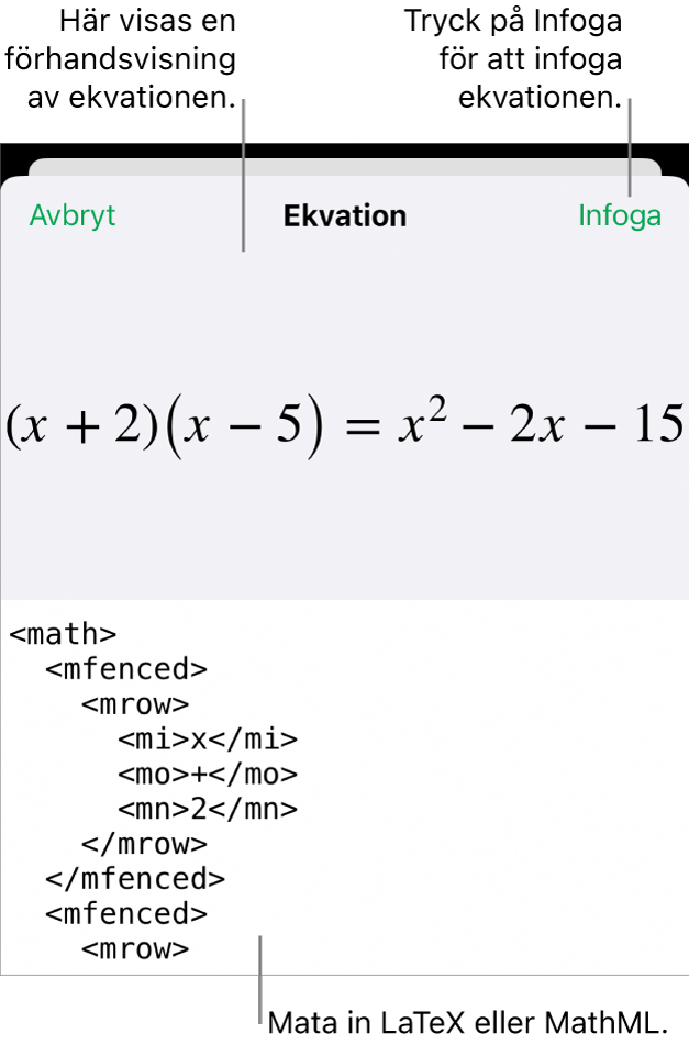 Dialogrutan Ekvation visar en ekvation som skrivits med MathML-kommandon och en förhandsvisning av formeln ovanför den.