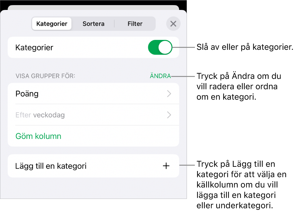 Menyn Kategorier för iPhone med alternativ för att slå av kategorier, radera kategorier, gruppera om data, gömma en källkolumn och lägga till kategorier.
