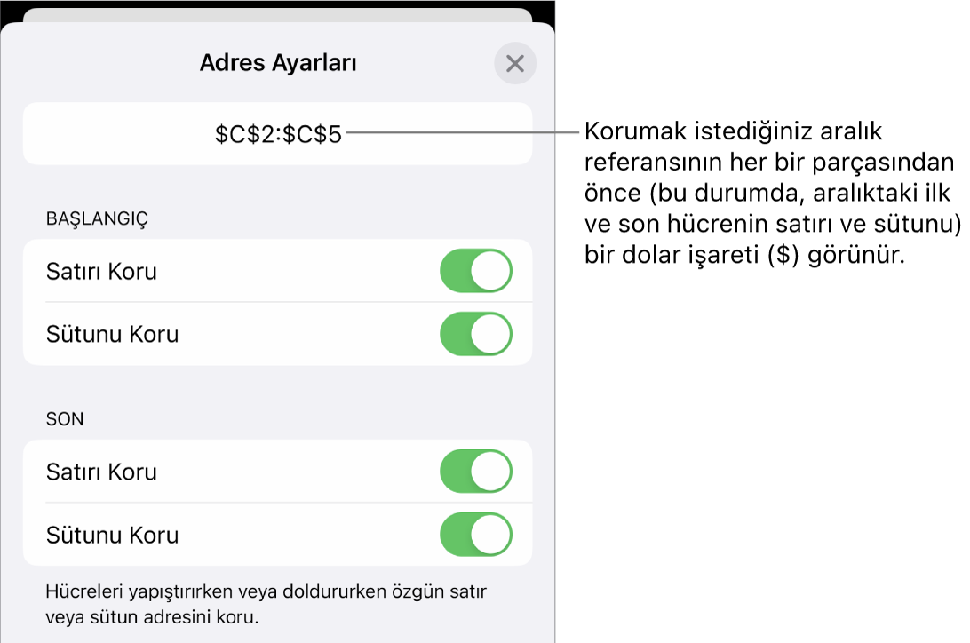 Hücre silindiğinde veya taşındığında hücrenin satır ve sütun referanslarının belirtilmesini sağlayan denetimler. Korumak istediğiniz aralık referansının her bir bölümünden önce bir dolar işareti görünür.