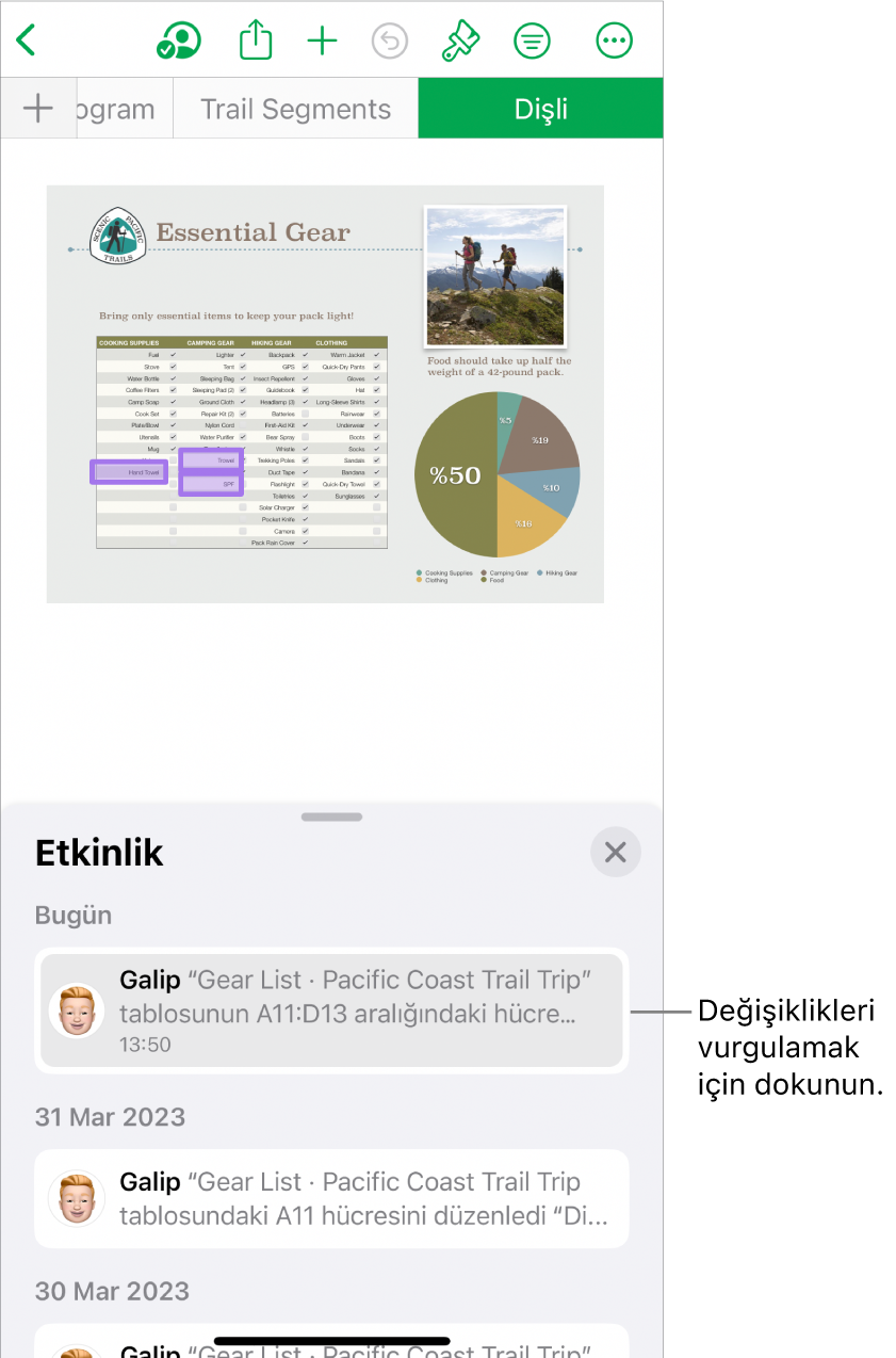Ortak çalışılan hesap tablosunda ortak çalışma menüsü ile etkinlik listesinin her ikisi de açık.