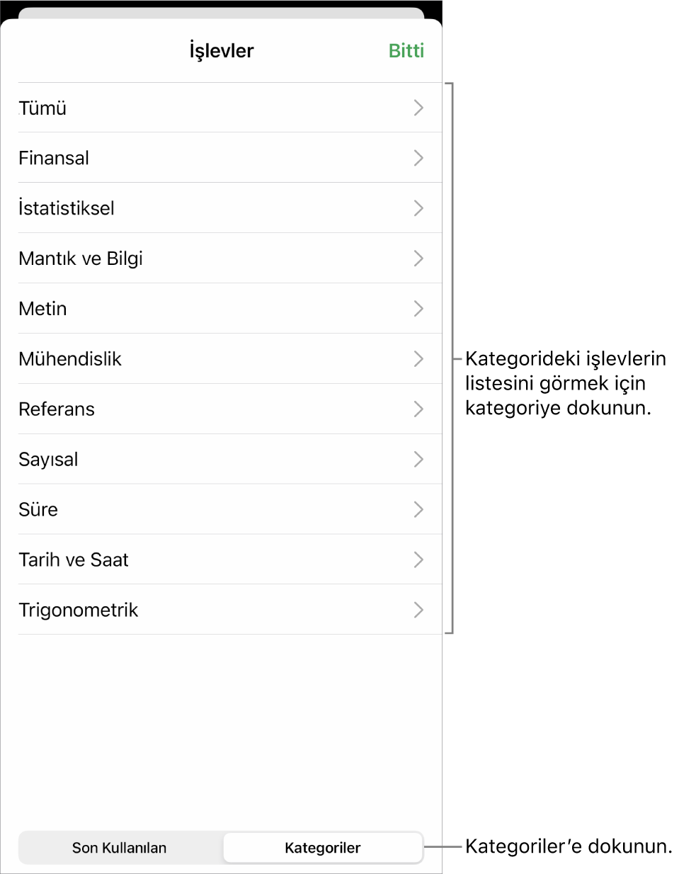Kategoriler düğmesi seçili olarak ve onun altında kategori listesi ile İşlev Tarayıcı.