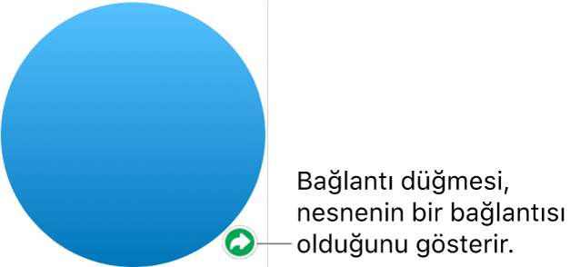 Şekildeki bağlantı düğmesi.