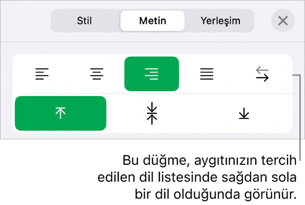Sağdan Sola düğmelerini bir belirtme çizgisiyle gösteren Biçim menüsünün Stil bölümü.