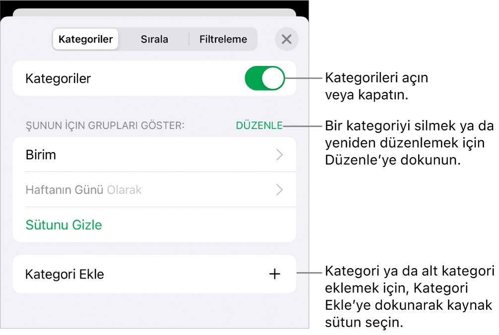 Kategorileri kapatma, kategorileri silme, verileri yeniden gruplama, kaynak sütunu gizleme ve kategori ekleme seçeneklerini içeren, iPhone için Kategoriler menüsü.
