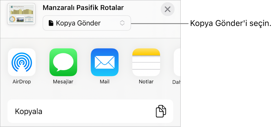 Paylaş menüsü, en üstte Kopya Gönder seçili.