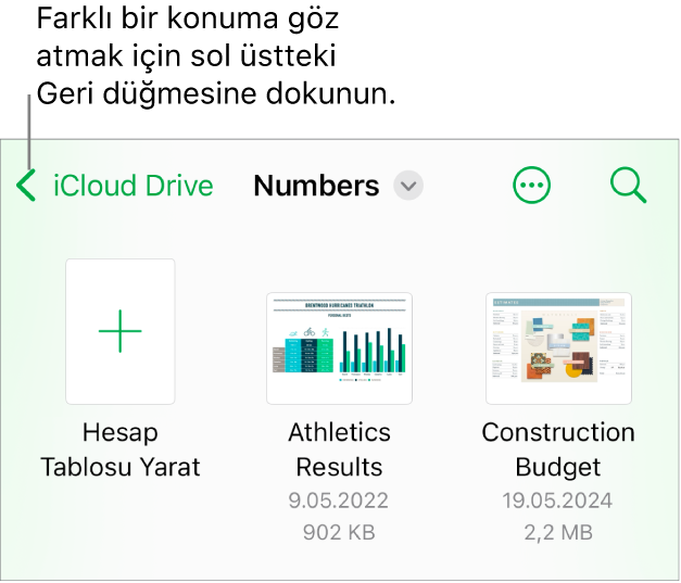 iPhone için belge yöneticisi.