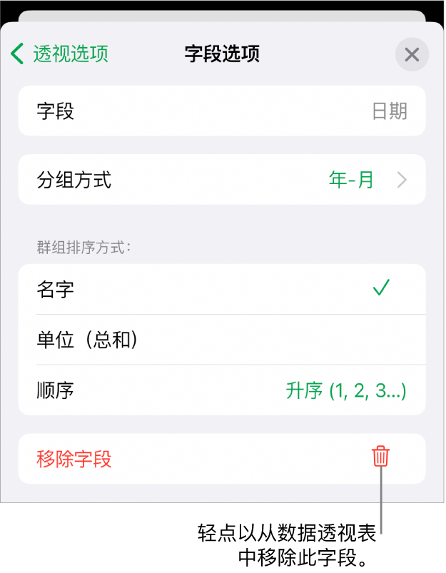 “字段选项”菜单,显示成组和排序数据的控制以及移除字段的选项。