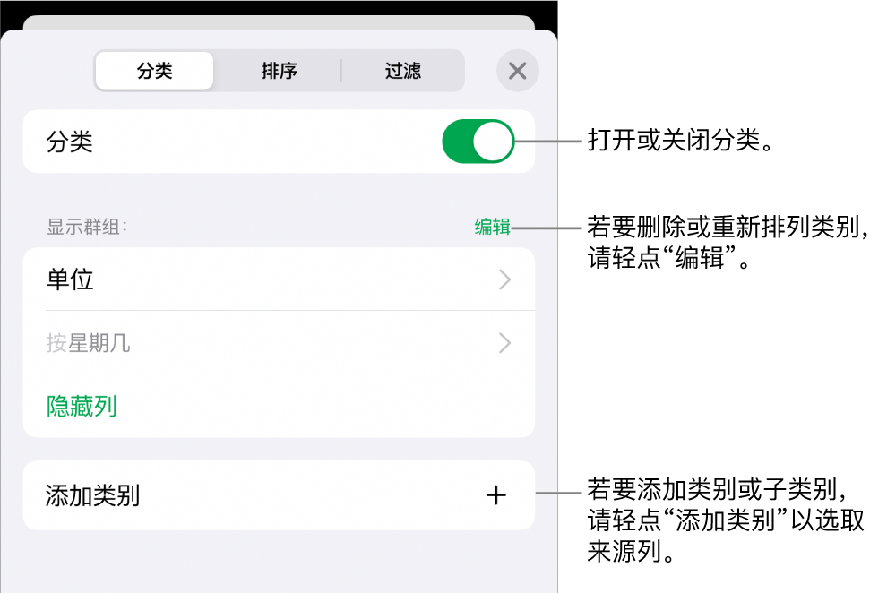 iPhone 上的“类别”菜单带有以下选项:关闭类别、删除类别、重新成组数据、隐藏来源列和添加类别。