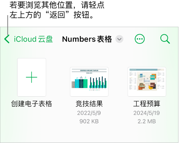 文稿管理器的浏览视图,“返回”按钮位于左上角,其下方是搜索栏。搜索栏下方是“创建电子表格”按钮,位于现有电子表格的缩略图旁边。右上角是“添加”按钮和“更多”按钮。