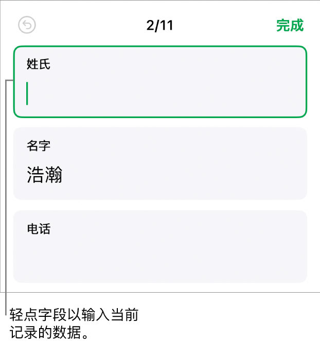 表单中的记录显示带插入点的活跃字段。