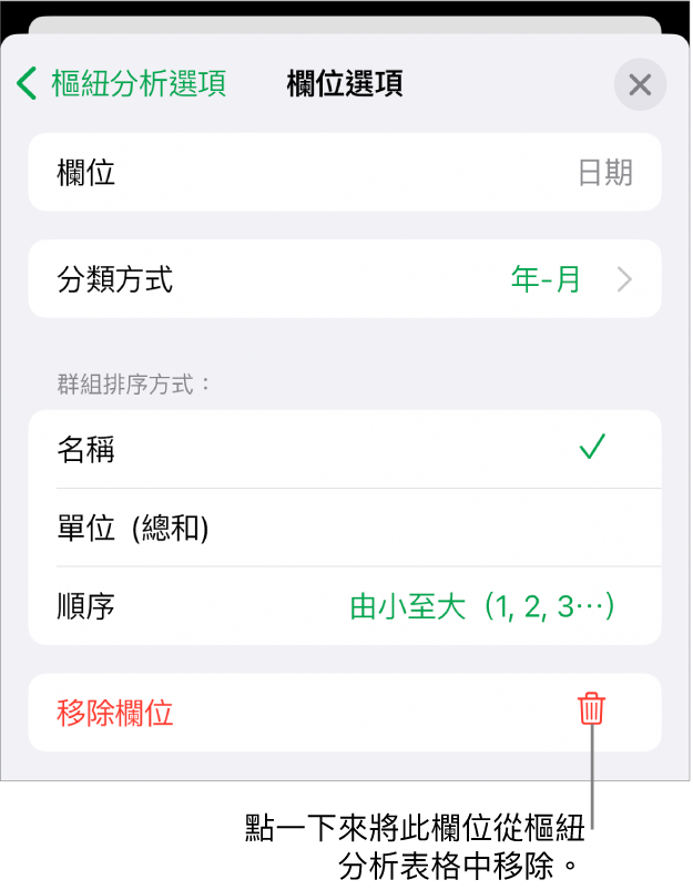 「欄位選項」選單,其顯示群組和排序資料的控制項目,以及移除欄位的選項。