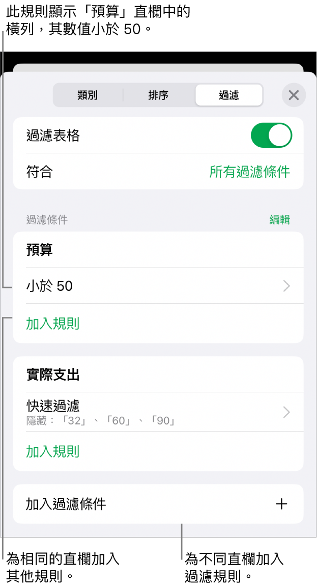 控制項目，用於加入新過濾規則或編輯現有過濾規則。