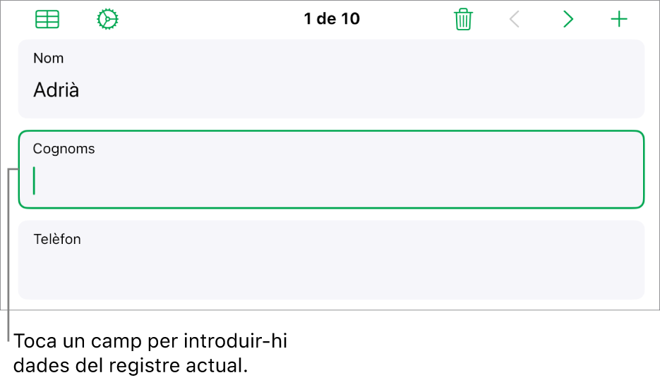 Un registre d’un formulari en què es mostra un camp actiu amb un punt d’inserció.
