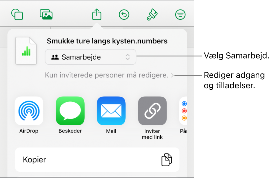 Menuen Del med Samarbejde valgt øverst og adgangs- samt tilladelsesindstillinger nedenunder.
