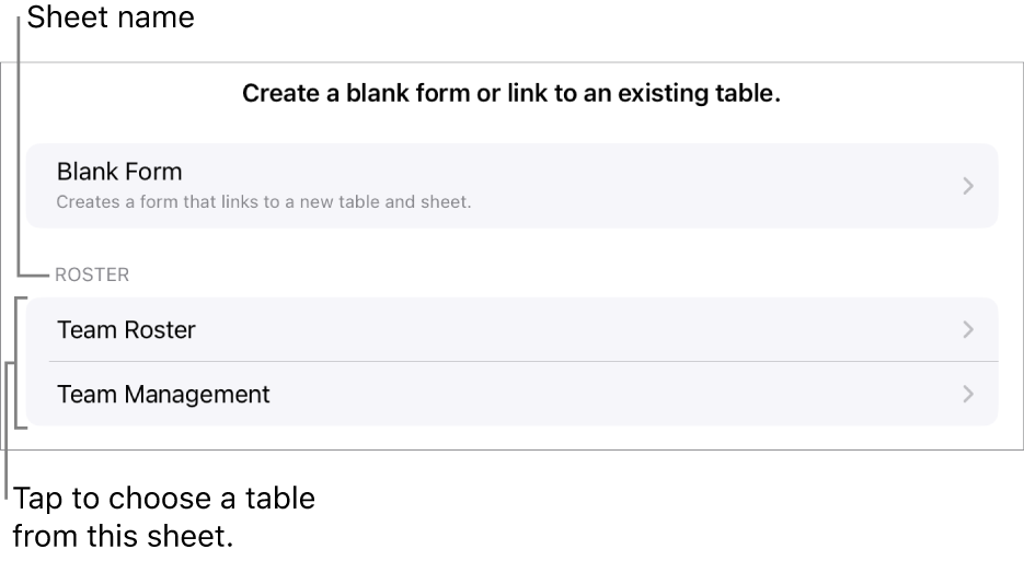 A list of tables that are in the same spreadsheet, with the option to create a blank form at the top.