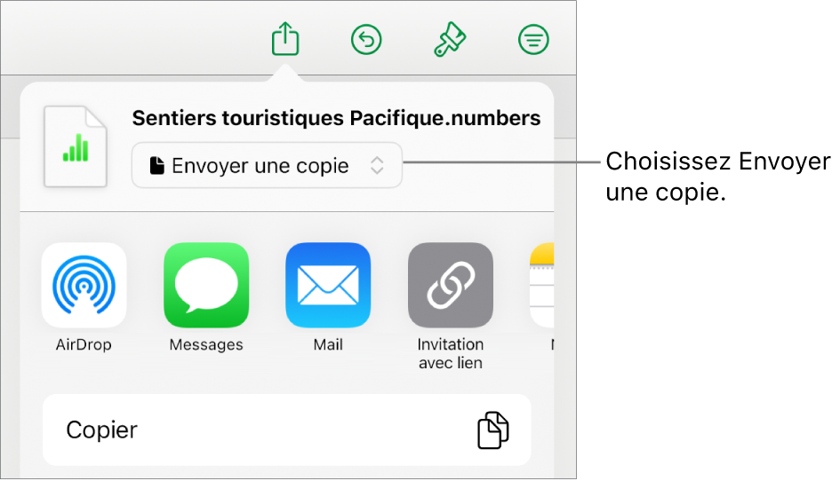 Le menu Partager avec l’option Envoyer une copie sélectionnée dans le haut.