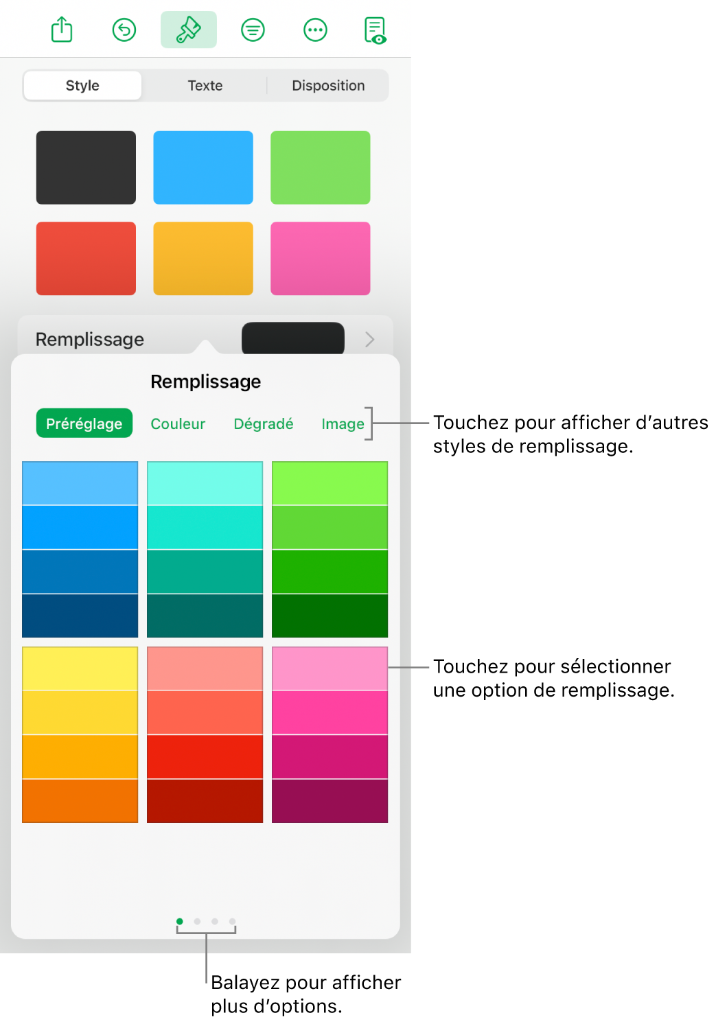 Options de remplissage de l’onglet Style du bouton Format.