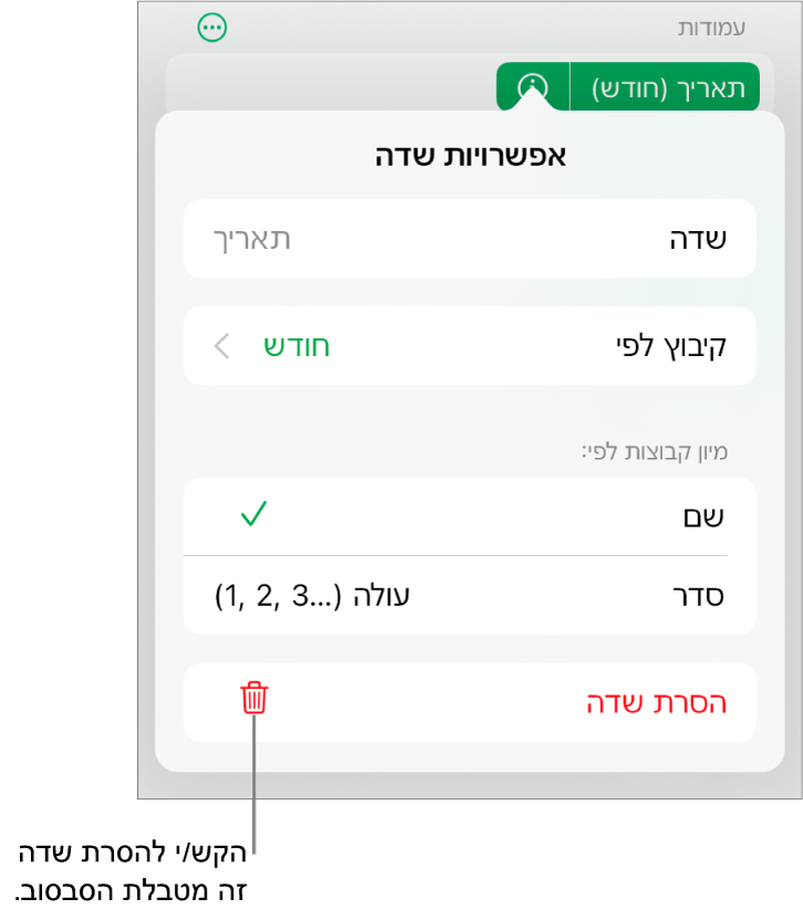 התפריט ״אפשרויות שדה״, שבו מוצגים פקדים לקיבוץ ומיון של נתונים, וכן האפשרות להסיר שדה.