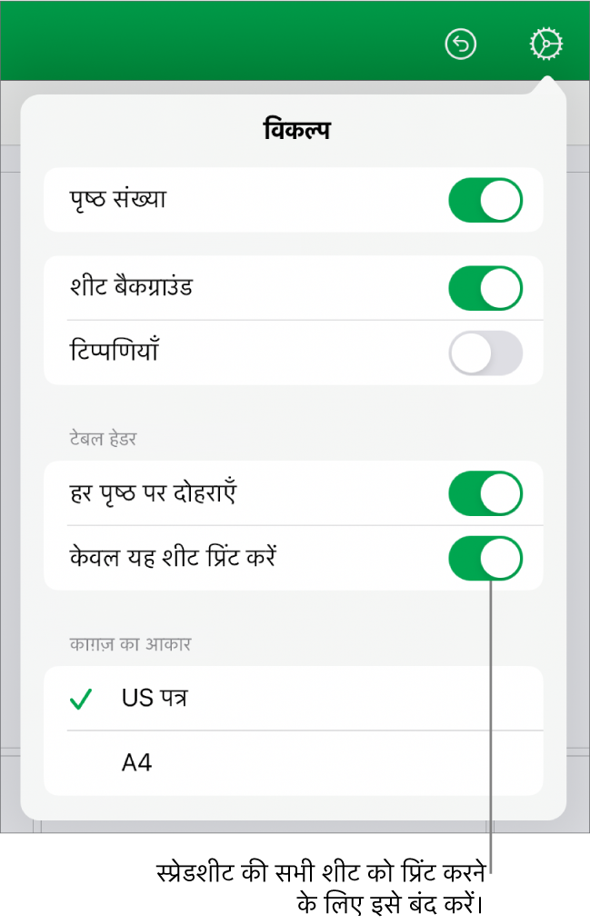 पृष्ठ संख्याएँ दिखाने, हर पृष्ठ पर हेडर दोहराने, काग़ज़ का आकार बदलने और संपूर्ण स्प्रेडशीट या केवल वर्तमान शीट प्रिंट करने का विकल्प चुनने के नियंत्रण के साथ प्रिंट प्रीव्यू पेन।