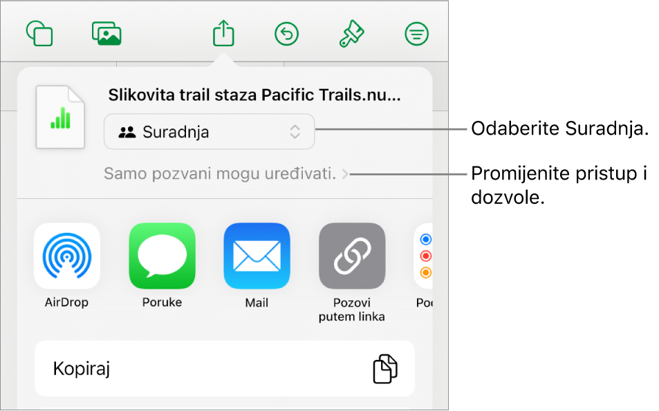 Izbornik dijeljenja s opcijom Suradnja odabran na vrhu i postavke pristupa i dozvola ispod.
