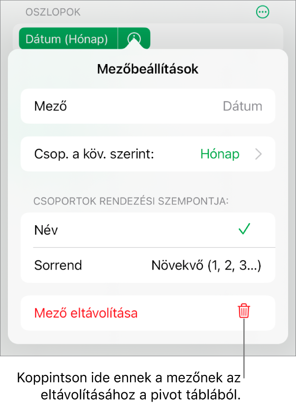 A Mezőbeállítások menü az adatok csoportosítására és rendezésére szolgáló vezérlőkkel, illetve a mező eltávolítására szolgáló lehetőséggel.